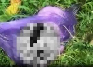 Tragis! Bayi Laki-laki Ditemukan Tewas Terbungkus Kresek di Bendungan Banyuwangi