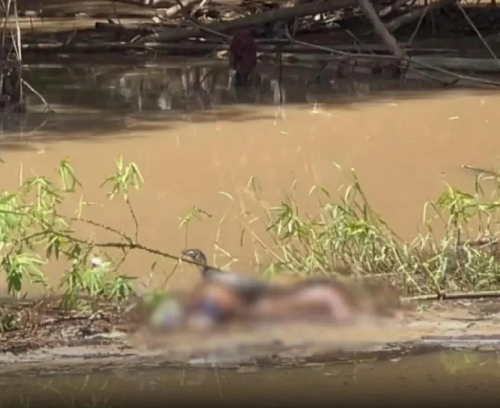 Mayat Perempuan Ditemukan Mengapung di Sungai Kedungputri Ngawi, Polisi Lakukan Penyelidikan