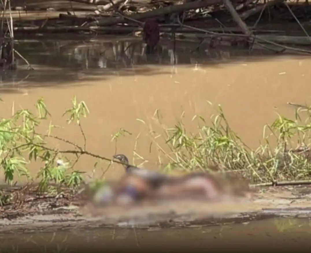 Mayat Perempuan Ditemukan Mengapung di Sungai Kedungputri Ngawi, Polisi Lakukan Penyelidikan