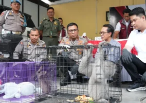 Polresta Sidoarjo Ungkap Perdagangan Ilegal Satwa Lindung Jaringan Internasional