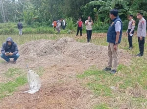 Petani Sampang Dibunuh Tetangga Sendiri di Sawah
