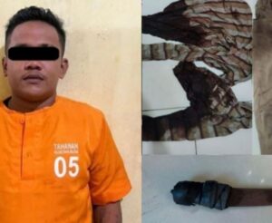 Tragedi Berdarah di Daha Selatan: Pria Tewas Ditusuk Anak Tiri Usai Cekcok