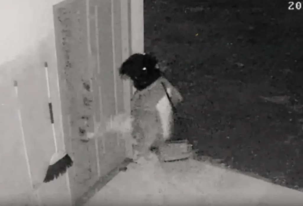 Residivis Pencuri Gudang Makam di Tuban Ditangkap, Sudah Enam Kali Beraksi