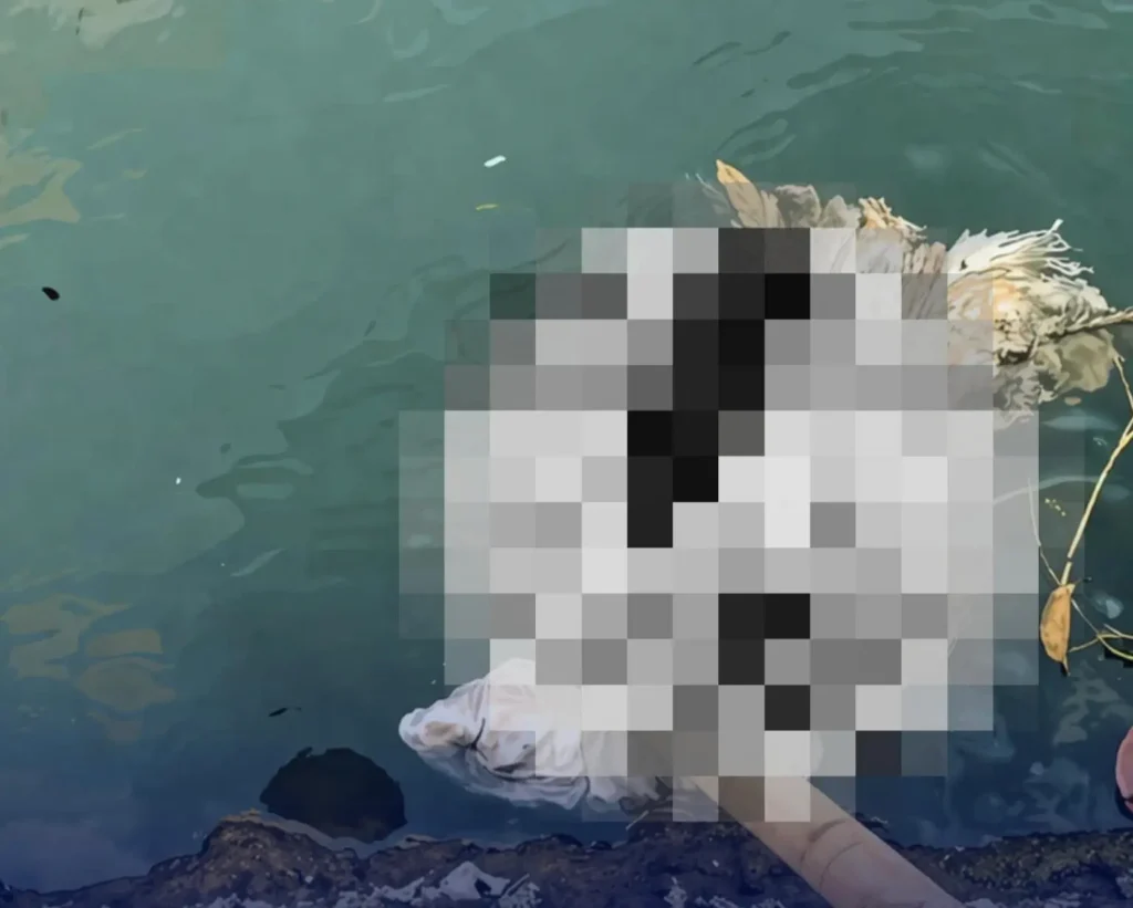 Temuan Mencurigakan di Sungai Depan Masjid Baiturrohman Wonoayu, Warga Sempat Geger