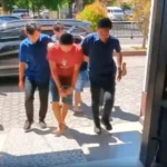 Dijebak Komplotan! Modus Sapi “Bodong” di Pasar Hewan Wonoasih, Korban Rugi Belasan Juta