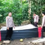 Polisi Gerebek Arena Sabung Ayam di Bawean, Delapan Motor Diamankan