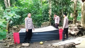 Polisi Gerebek Arena Sabung Ayam di Bawean, Delapan Motor Diamankan
