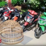 Polisi Gerebek Judi Sabung Ayam di Gresik, Enam Orang Diamankan