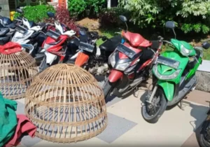 Polisi Gerebek Judi Sabung Ayam di Gresik, Enam Orang Diamankan