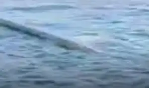 Pipa di Laut Situbondo Viral, Nelayan Mengaku Aktivitas Melaut Terganggu