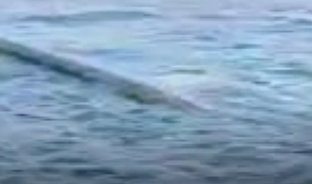 Pipa di Laut Situbondo Viral, Nelayan Mengaku Aktivitas Melaut Terganggu