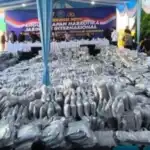 BNN Bongkar Gudang 3,37 Ton Cannabis Buds di Gresik, 12 Orang Ditangkap, Diduga Akan Diolah Jadi Cairan Vape