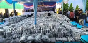 BNN Bongkar Gudang 3,37 Ton Cannabis Buds di Gresik, 12 Orang Ditangkap, Diduga Akan Diolah Jadi Cairan Vape