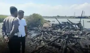 Teledor Bakar Sampah untuk Usir Nyamuk, Kandang di Surabaya Terbakar, 20 Ekor Kambing Mati