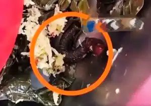 Potongan Kaki Seribu Ditemukan dalam Menu MBG untuk Ibu Hamil di Pasangkayu