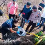 Kerangka Manusia Ditemukan di Tengah Hutan Lamongan, Identitas Masih Misterius