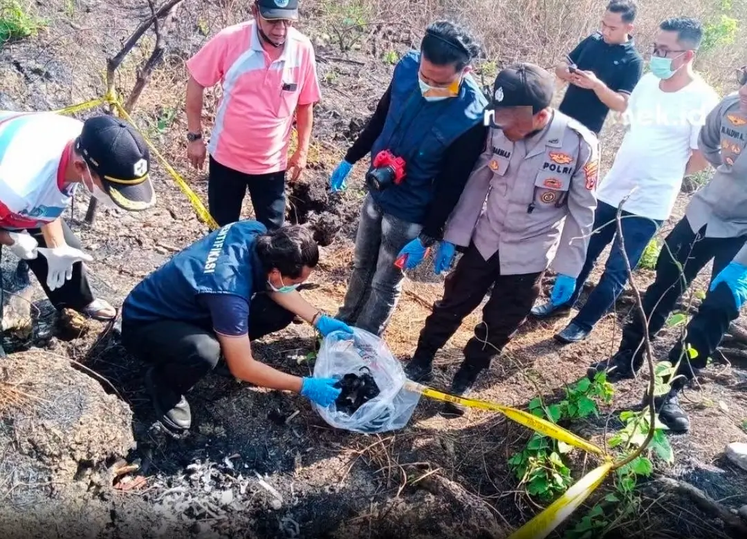 Kerangka Manusia Ditemukan di Tengah Hutan Lamongan, Identitas Masih Misterius