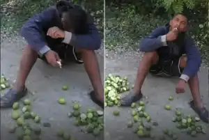 Pria Diduga Curi 500 Lemon, Dihukum Makan 300 Buah