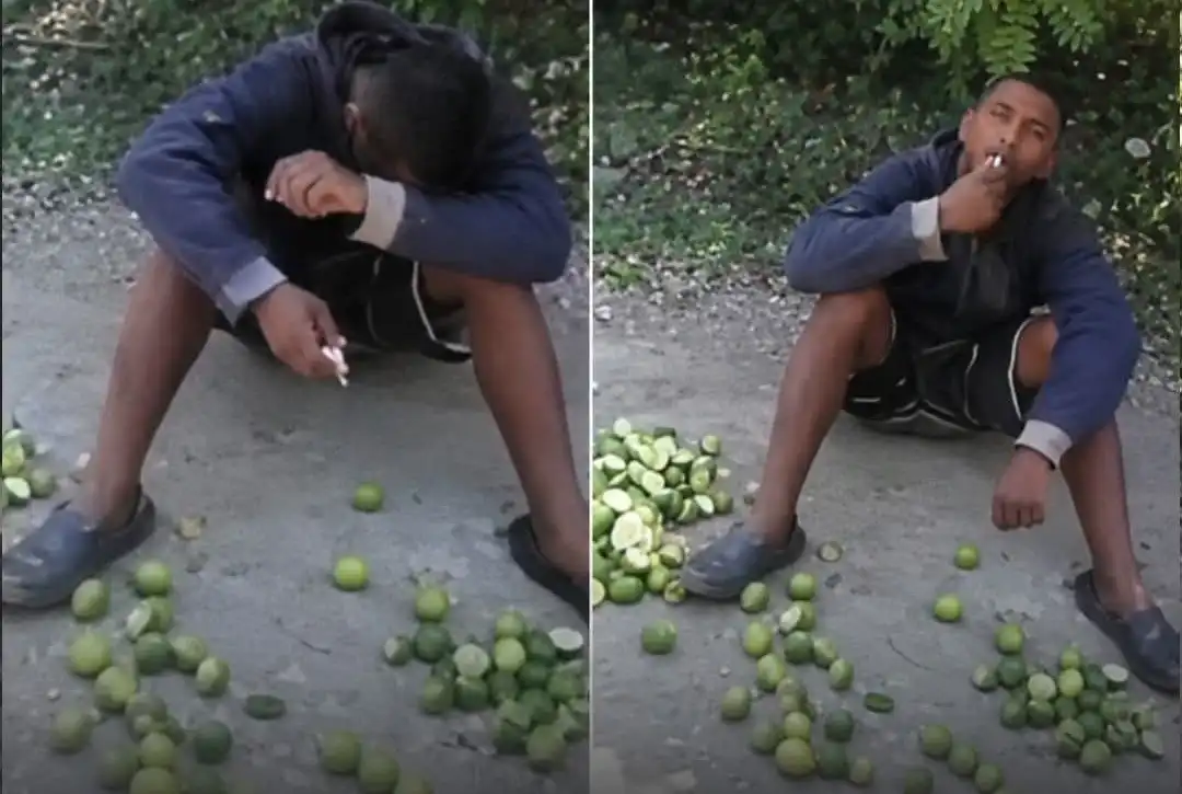 Pria Diduga Curi 500 Lemon, Dihukum Makan 300 Buah
