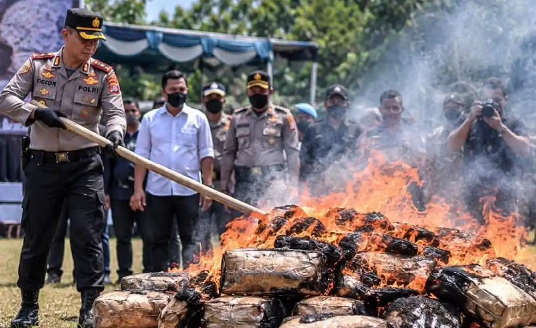 3,3 Ton Ganja Dibakar di Palmerah, Warga Mengaku Pusing Terpapar Asap