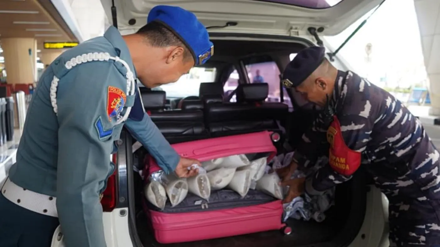 TNI AL Gagalkan Penyelundupan 48.800 Benih Lobster Senilai Rp6,1 Miliar di Bandara Juanda