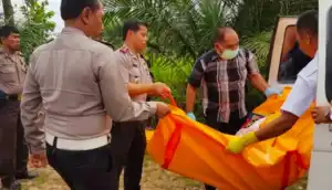 Jasad Pria Ditemukan Tertutup Pelepah Sawit, Dua Orang Ditangkap