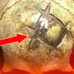Misteri Tengkorak Emas Nazca, Bukti Bedah Kuno Yang Mengangumkan